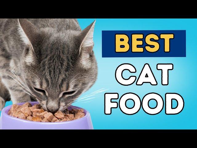 What is Best To Feed Your Cat?