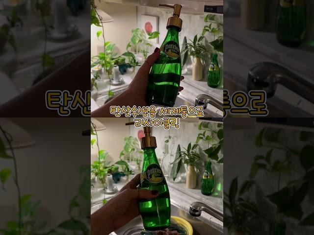 탄산수병을 세제통으로 리사이클링 #리사이클링 #recycling #planterior #plants #반려식물