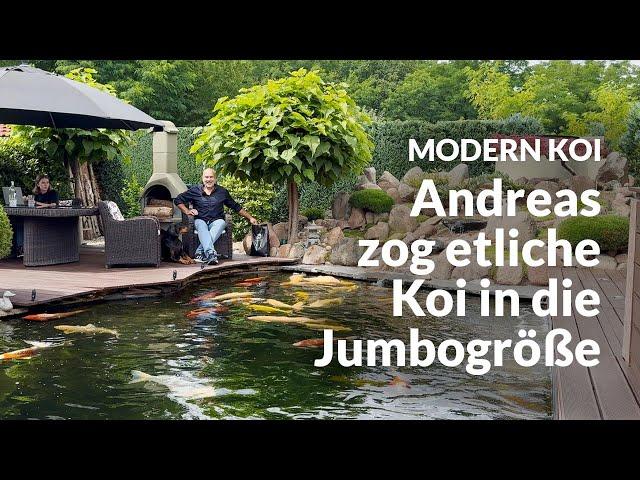 Andreas 40.000 Liter Teich mit perfektem Wasser | Modern Koi Blog #6907