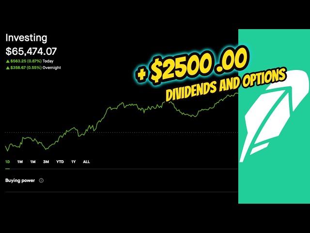 How Much I Made for Month With My Portfolio / Dividends / Options