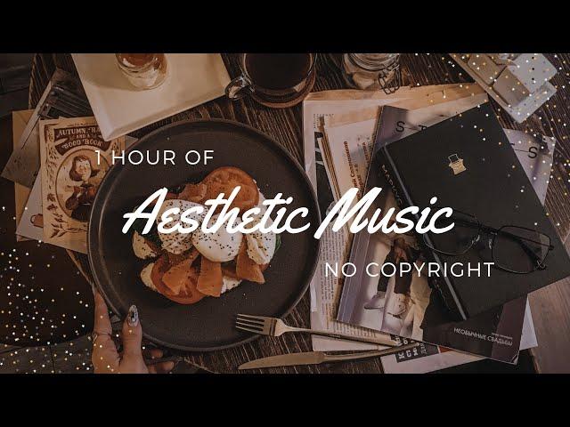 1 Hour of Aesthetic Music | No Copyright Background Music Playlist 