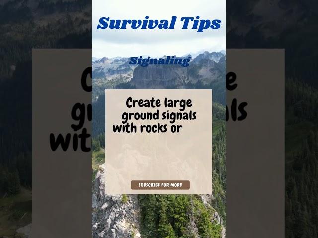 SURVIVAL TIPS