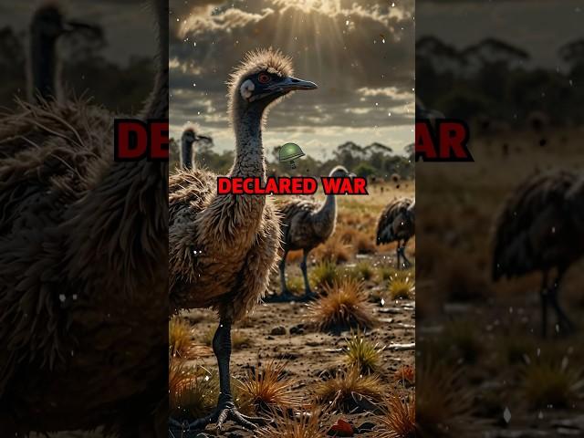 Can your nation conquer the Emu? #didyouknow #facts #factsyoudontknow #history #australia
