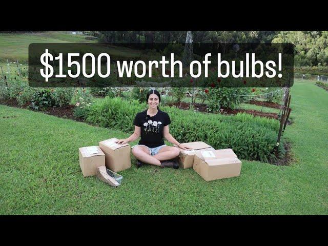 Unboxing $1500 worth of bulbs!!!