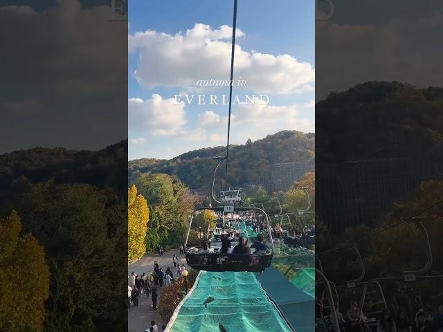 autumn in Everland  #korea #everland #autumn #foryou #fyp #fypシ゚viral #foryoupage