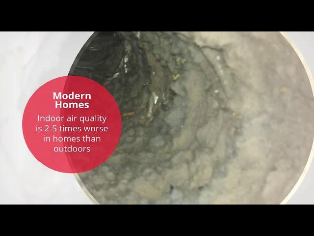 Rotobrush Service Provider Video