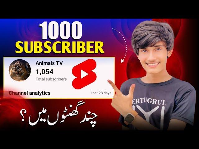 1000 Subscriber Chand Ghanton Men Pory Kren| Subscriber Kaisy Badhaye 2024