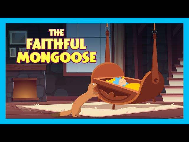 THE FAITHFUL MONGOOSE : Stories For Kids In English | TIA & TOFU | Bedtime Stories For Kids