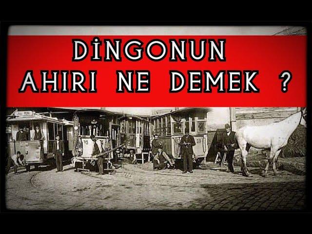 Dingonun Ahırı, Deyimi Nereden Gelir