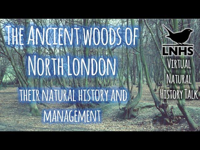 The Ancient Woods of North London - Their Natural History & Management