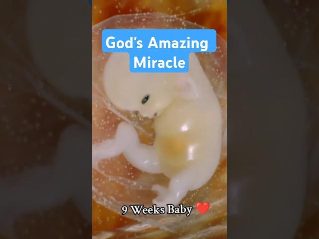 God Creating Human Life In The Womb