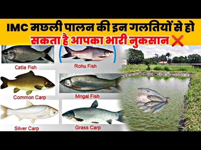 IMC मछली पालन की संपूर्ण जानकारी | IMC Fish Farming A to Z Information | #fishfarmingindia