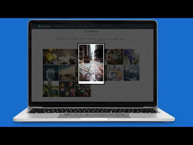 Supsystic WordPress Photo Gallery Plugin