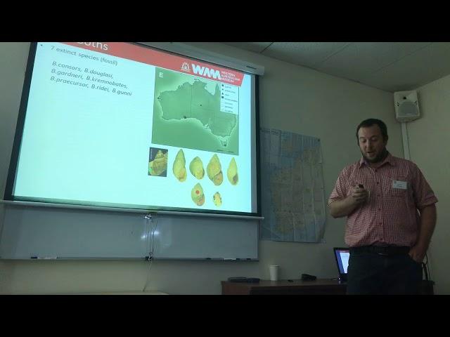 Corey Whisson - Fossil records of the Australian land snail genus Bothriembryon