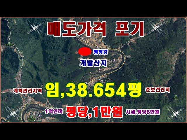 물번,687번) 완전 포기 상태.임야,38.654평 평당,1만원에 급매매합니다 4.092평  빼고 전부 계획관리지역,보전관리지역,준보전산지로 나옵니다 개발하기 최고 3억9.000만