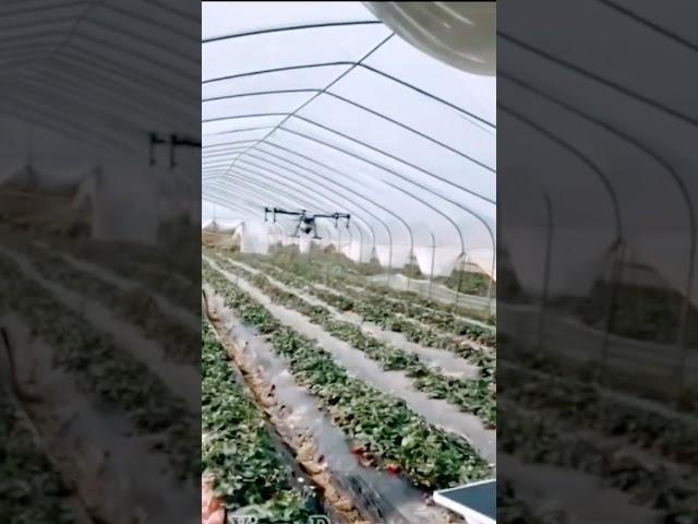 비닐하우스 드론방제