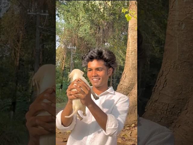 Dog with empty stomach 