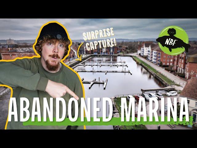 Fishing an Abandoned Marina  | What LURKS Beneath?