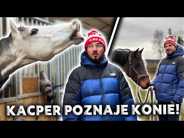 KACPER POZNAJE MUNIA I PARYSA ️| Specjal na ŚWIĘTA | Praca z ziemii z konikami 