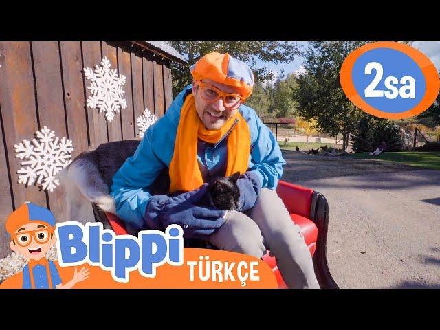 Blippi'nin Noel Macerası  Blippi Türkçe - Çocuklar için Eğitici Videolar