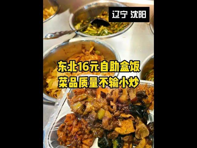 东北16元自助盒饭，40多道菜不限时随便吃，菜品质量不输小炒 #自助餐 #快餐 #沈阳美食 #美食vlog带你感受不一样的美食文化
