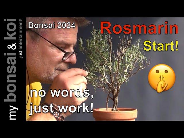 Bonsai 2024-53 - no words, just work - PSSST! Rosmarin - Start!