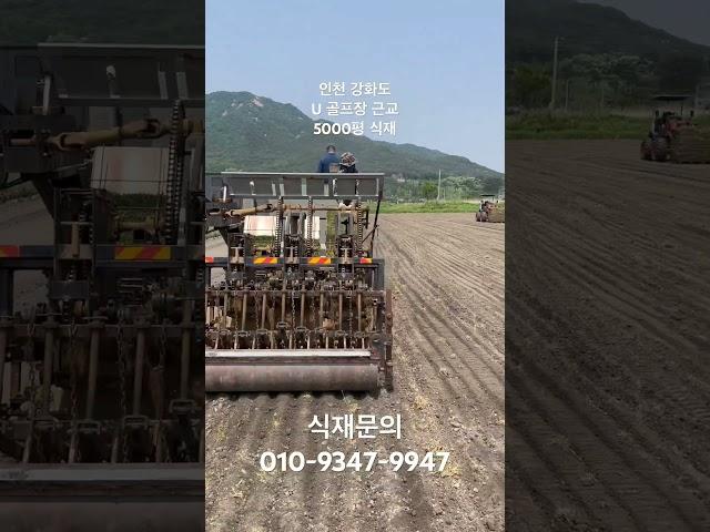 #잔디관리 #farming #잔디 #잔디심기 #골프리모델링