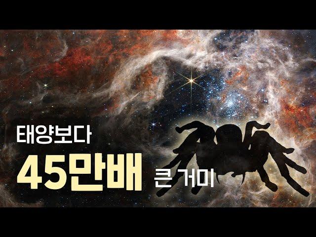 태양보다 45만배 큰 거미, 타란툴라 성운의 놀라운 정체? (feat. 제임스웹 우주망원경)