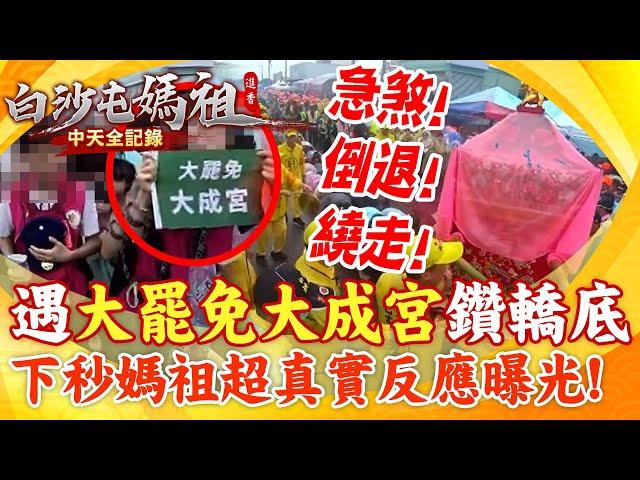 要被出征了?!白沙屯媽祖遇"大罷免 大成宮"鑽轎底..下秒鑾轎"急煞車倒退繞過" 現場信徒撲空"怒了" 網友熱議"酸度爆表"