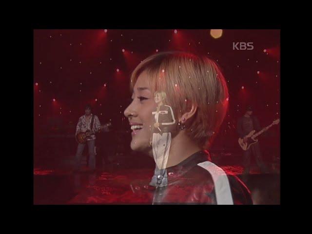 마야(Maya) - 진달래꽃 x 쿨하게 x Honey [윤도현의 러브레터] | KBS 20030906 방송