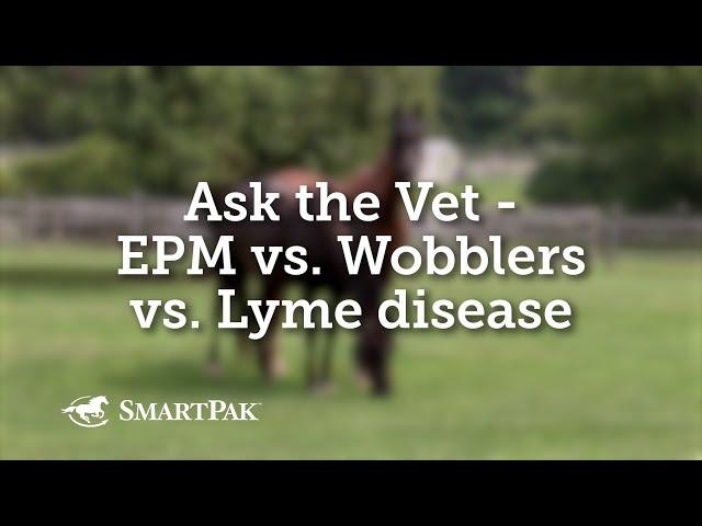 Ask the Vet - EPM vs Wobblers vs Lyme disease