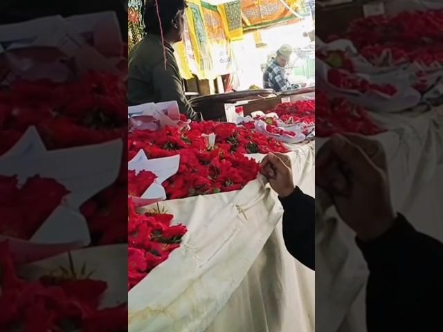 Aaj Ham Gaye dargah Sharif #shortsfeed #ytshorts #foryou #rehanavlogs #youtubeshorts #viralvideo