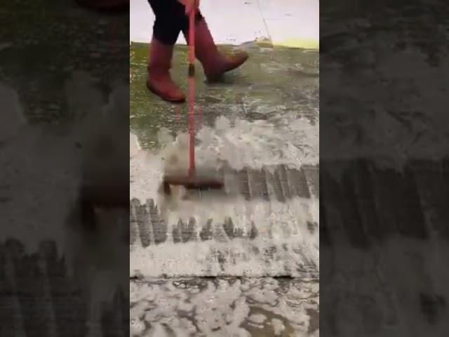 #shorts #carpet #cleaning #satisfying #calmingvideo #asmr#asmrvideos #woolrugcleaning #asmrtriggers