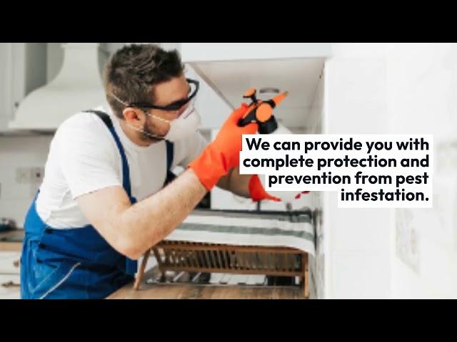 Pest Control in Melbourne - First Choice Pests