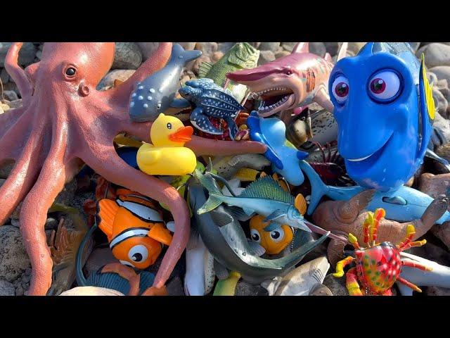 River Adventure!  Discover Amazing Sea Animal Toys for Kids!