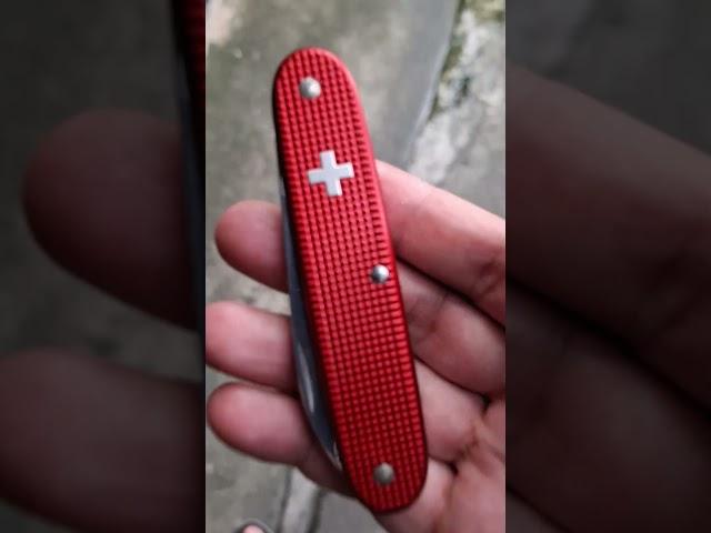 Victorinox Solo Alox OC #victorinox #edc #everydaycarrygear #multitool #gear #knifecommunity