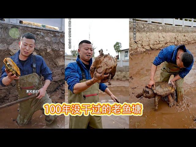 【直播】20000塊包下一個100年沒幹過的老魚塘，沒想裡面有白斤鱷龜 【在养殖场安全，请大家不要模仿】