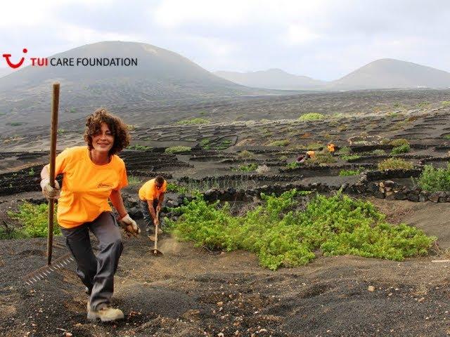 Preserving traditional winemaking on Lanzarote