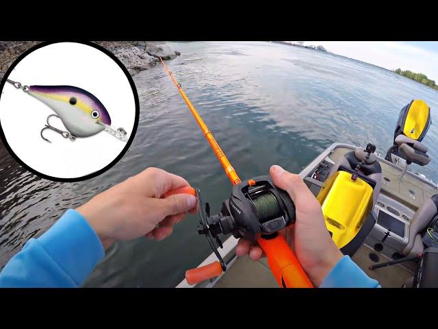 Pêche au Crankbait en Bateau sur le Fleuve Saint-Laurent! (Poisson Surprise!)