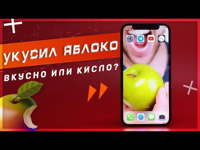 ШОК-МЕСЯЦ с iPhone 12 mini ПОСЛЕ 10 ЛЕТ на Android – впервые на iOS