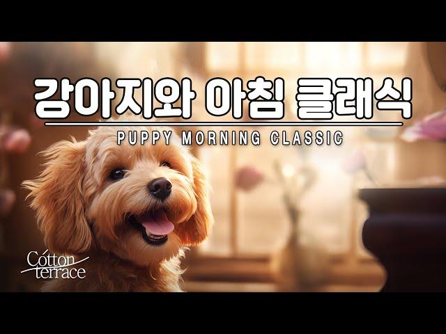 Cute and fun classical piano to listen to with your dog | cute | Dog | Morning Classic |
