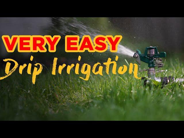 How to Install Drip Irrigation - 16mm Lateral Pipe // Teeny Tiny Earth