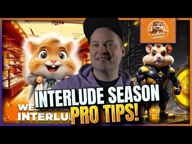 Hamster Kombat Interlude Season Pro Tips!