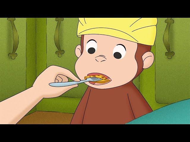 Curious George  Honey of a Monkey Compilation HD  Videos For Kids