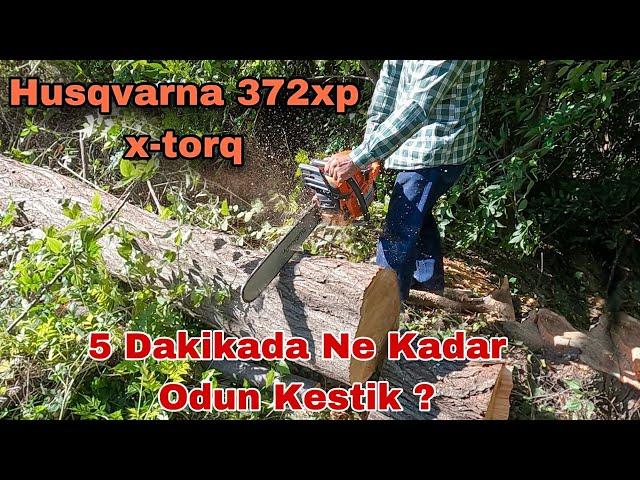 Canavar Husqvarna 372xp İle 5 Dakikada Ne Kadar Odun Kestik Bakın !!!