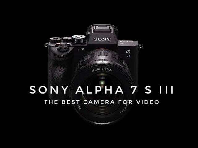 Sony Alpha 7 S III | The Best Camera for Video #Sony #SonyA7S3 @Sony