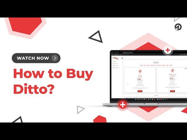 How to Buy Ditto in 1Cliq?