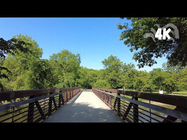 Sunny Nature Walk, Bemis Woods Forest Preserve in Cook County, Chicago (4K)