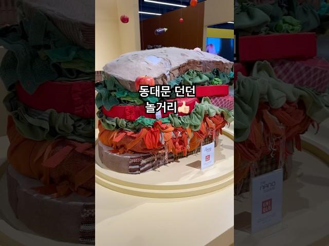 동대문 던던 지하 쇼룸 재미짐