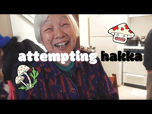 attempting to speak my native language (hakka) vlog (美国人说客家 kejia)